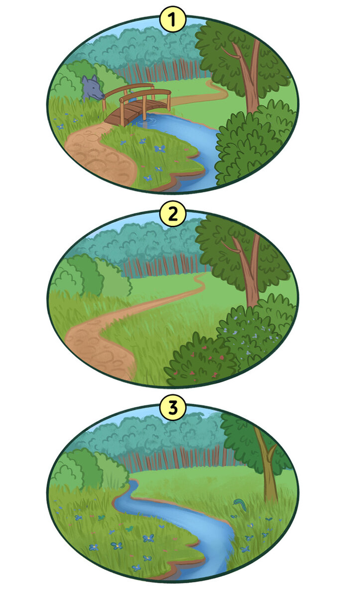 Тест на уровень IQ: угадай, в каком парке гулять безопасно! | VOICE | Дзен