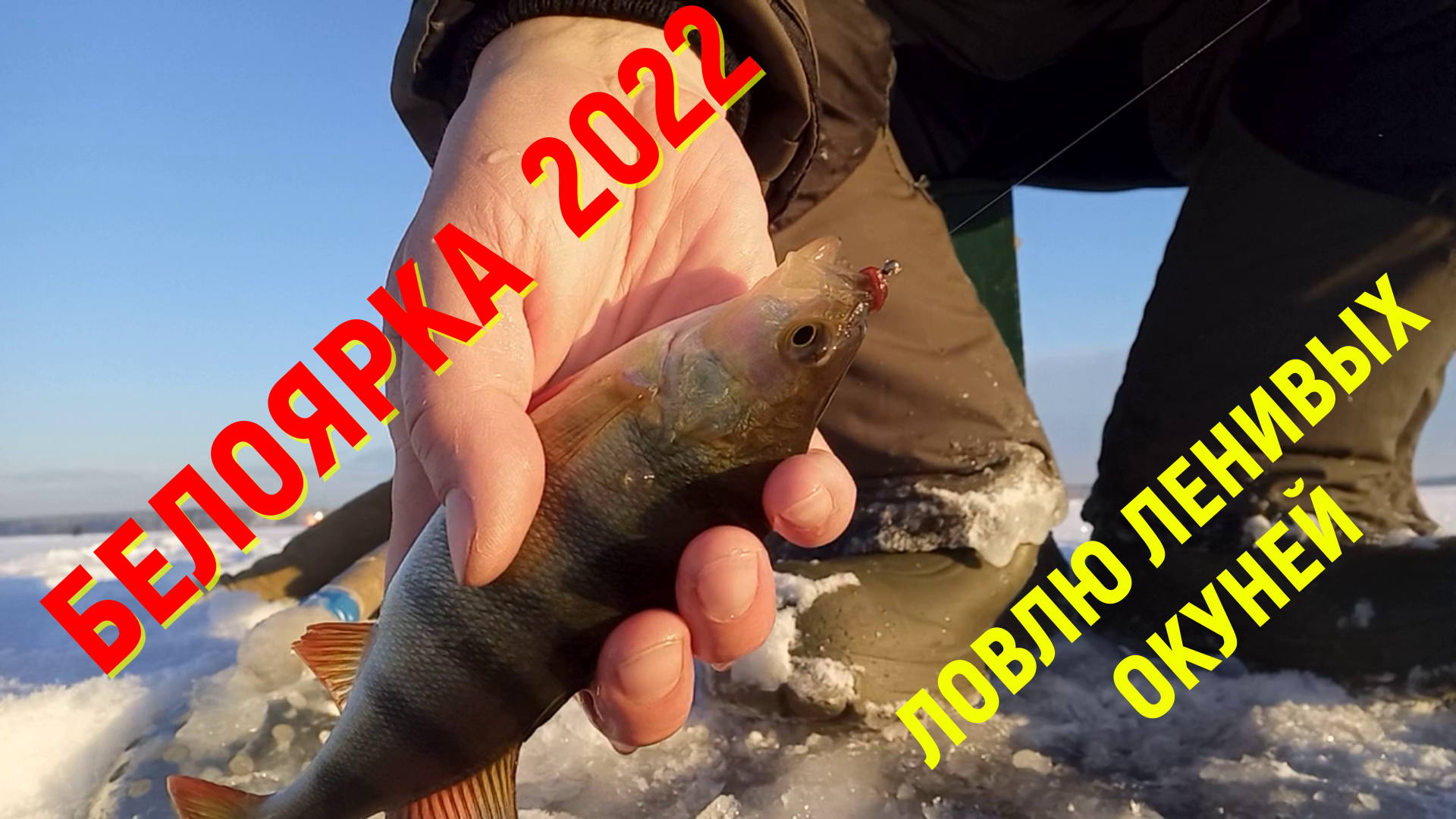 рыбалка на белоярке 2022 сегодня