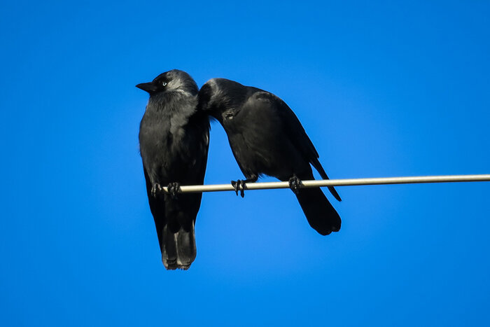 Image by Thomas B. from Pixabay
