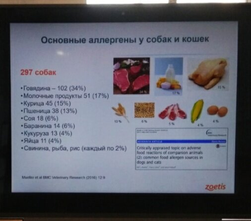 Исследование фирмы Zoetis. Основные аллергены у собак и кошек. Как видно из списка, курица лишь на 3м месте после говядины и молочных продуктов.