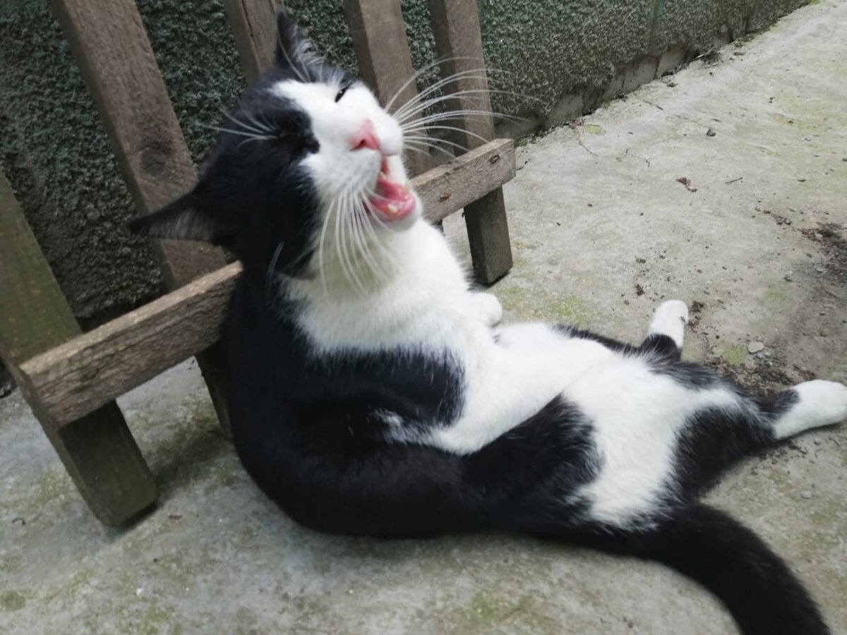 Авторское фото