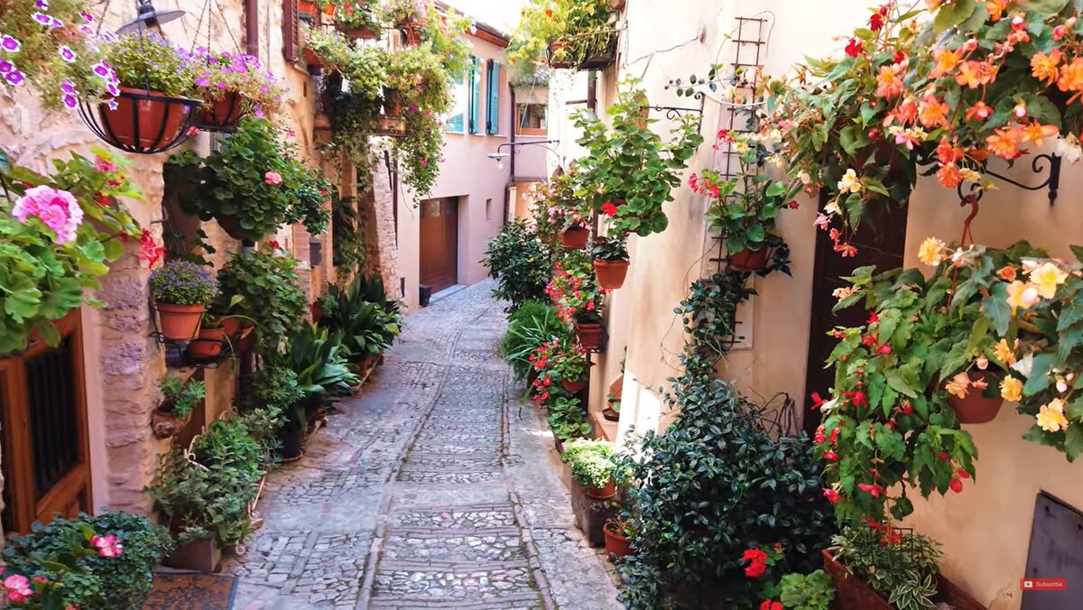 Спелло. Листайте галерею!