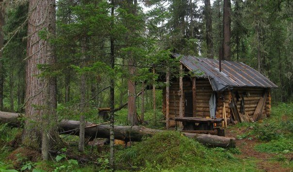 Современное зимовье