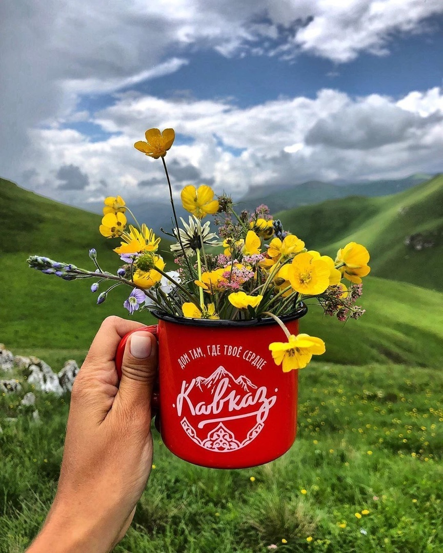 Автор фото - инстаграм katia0088 