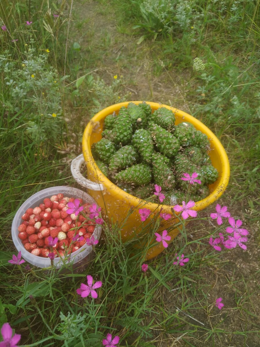 🍓И земляничка - приятный бонус.