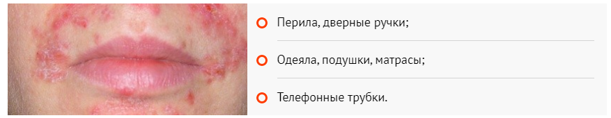 Инфицирование клещом происходит при непосредственном контакте 