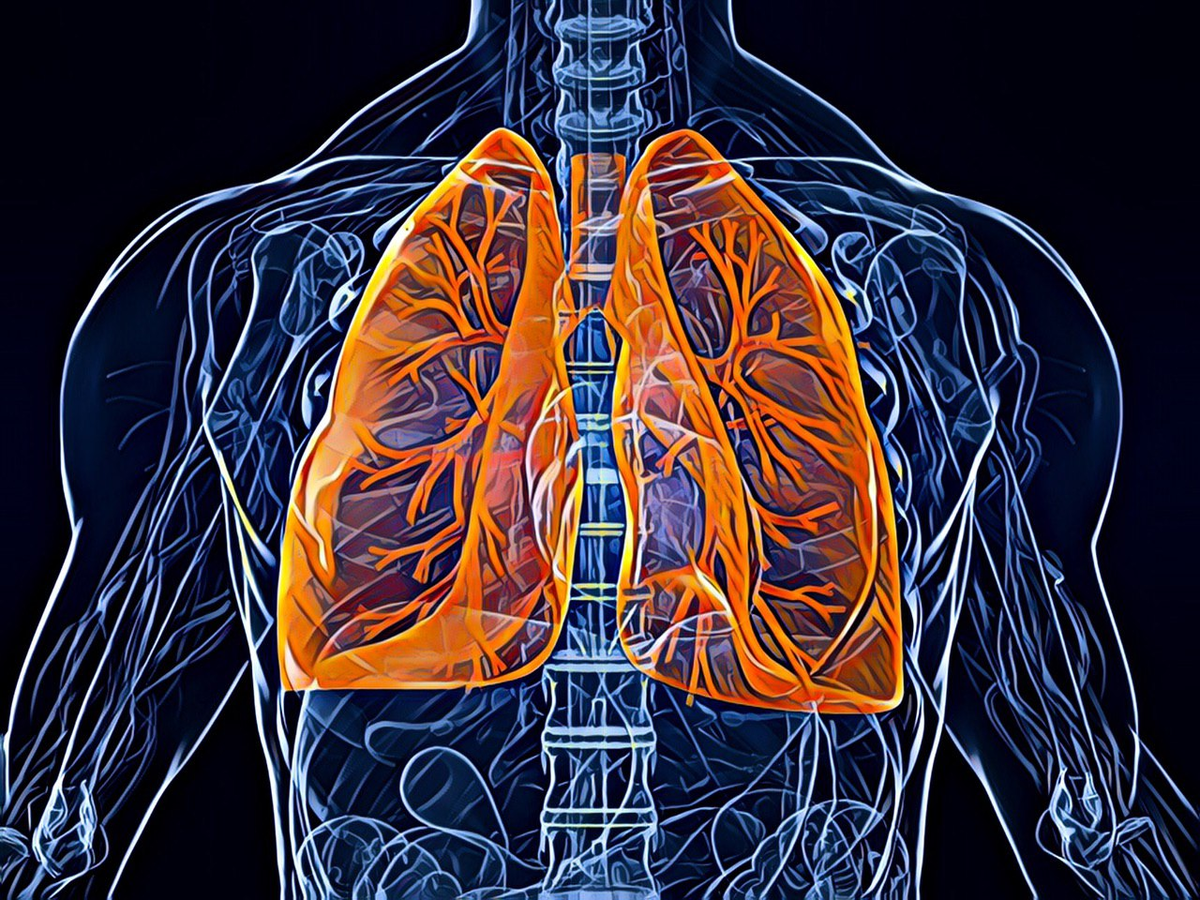 восстановить лёгкие после коронавируса. как восстановить легкие. восстановить легкие после. как восстановить лёгкие после курения. коронавирус реабилитация.
