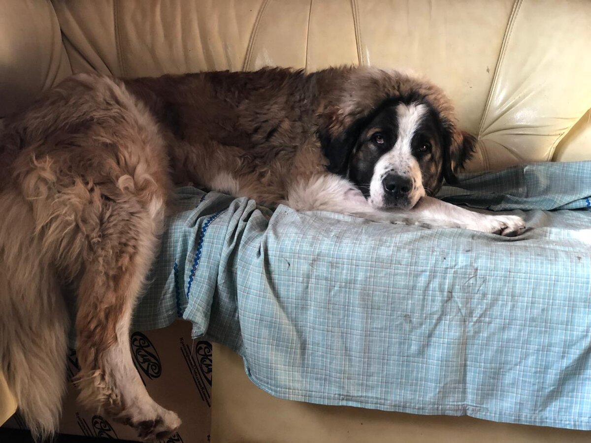 Грация и фотогеничность, ее второе иия имя)) 