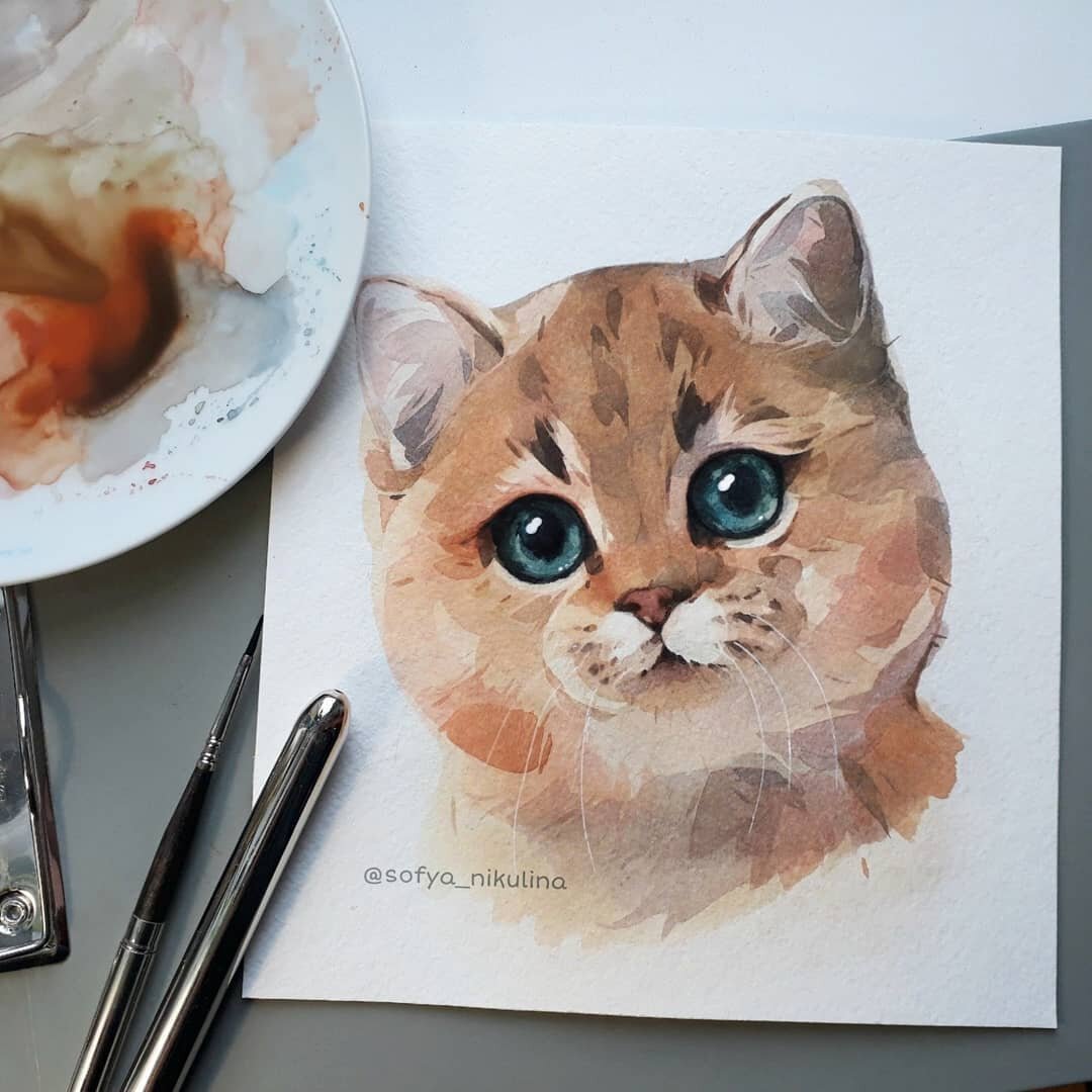 Картинка с сайта Софьи Никулиной www.picuki.com/profile/sofya_nikulina