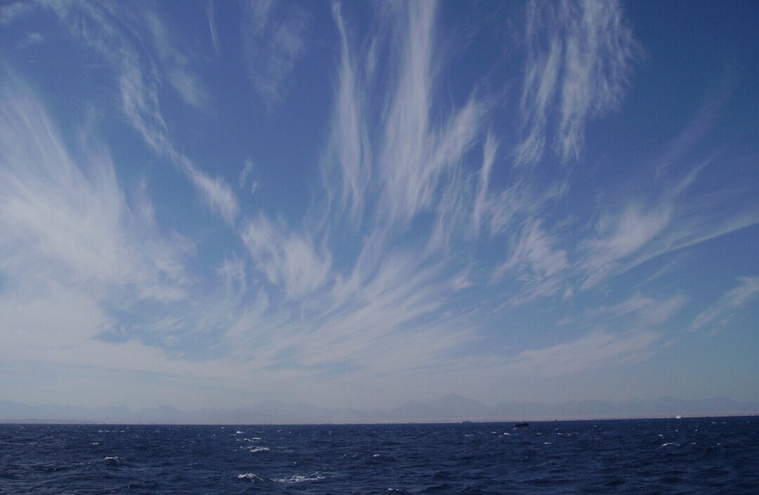 Все фото из той поездки в Египет