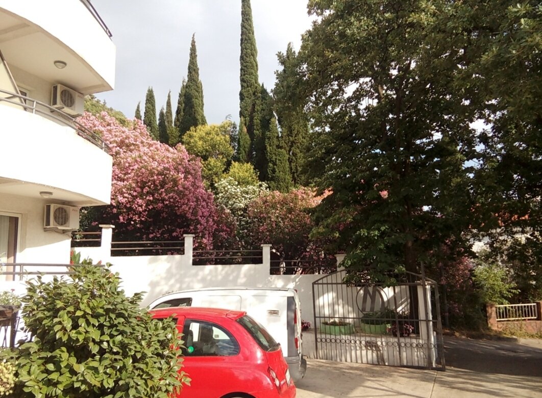 Около отеля. 