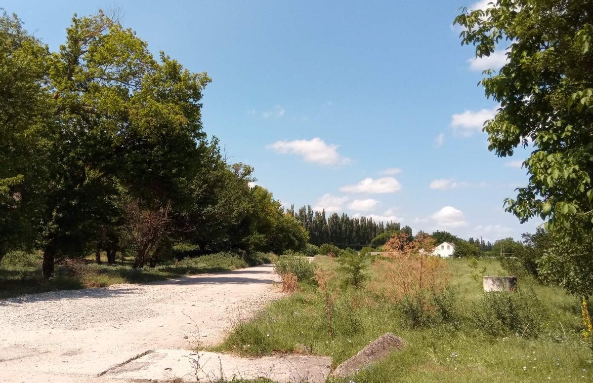 Окраина Трудолюбовки. Фото автора