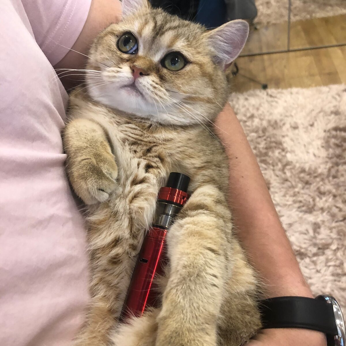 Пример просьбы несовершеннолетнего угостить сигареткой.