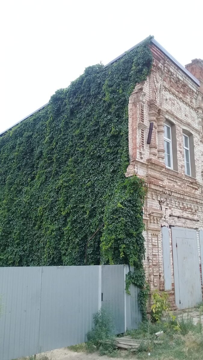 Личное. Где-то неподалеку мы будем жить...