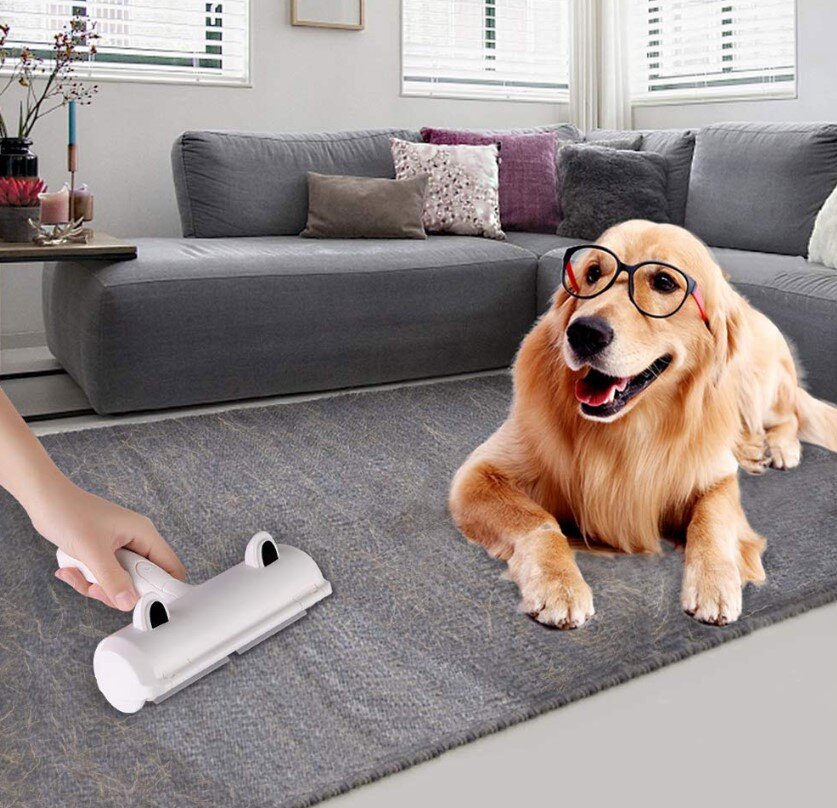Идеальное решение для быстрой уборки собачьей шерсти