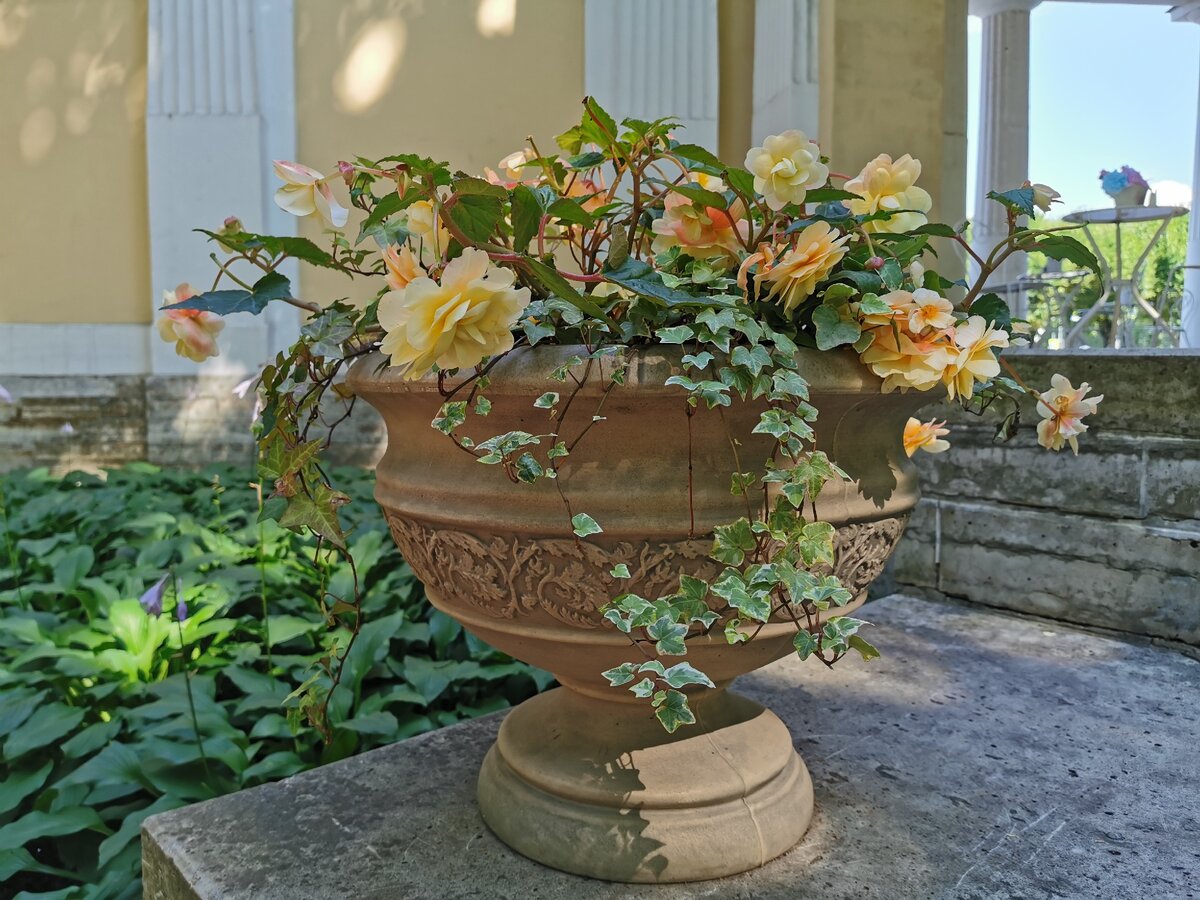 Фото Жанна Швыдкая. Михайловский сад. Санкт-Петербург. Павильон Росси.