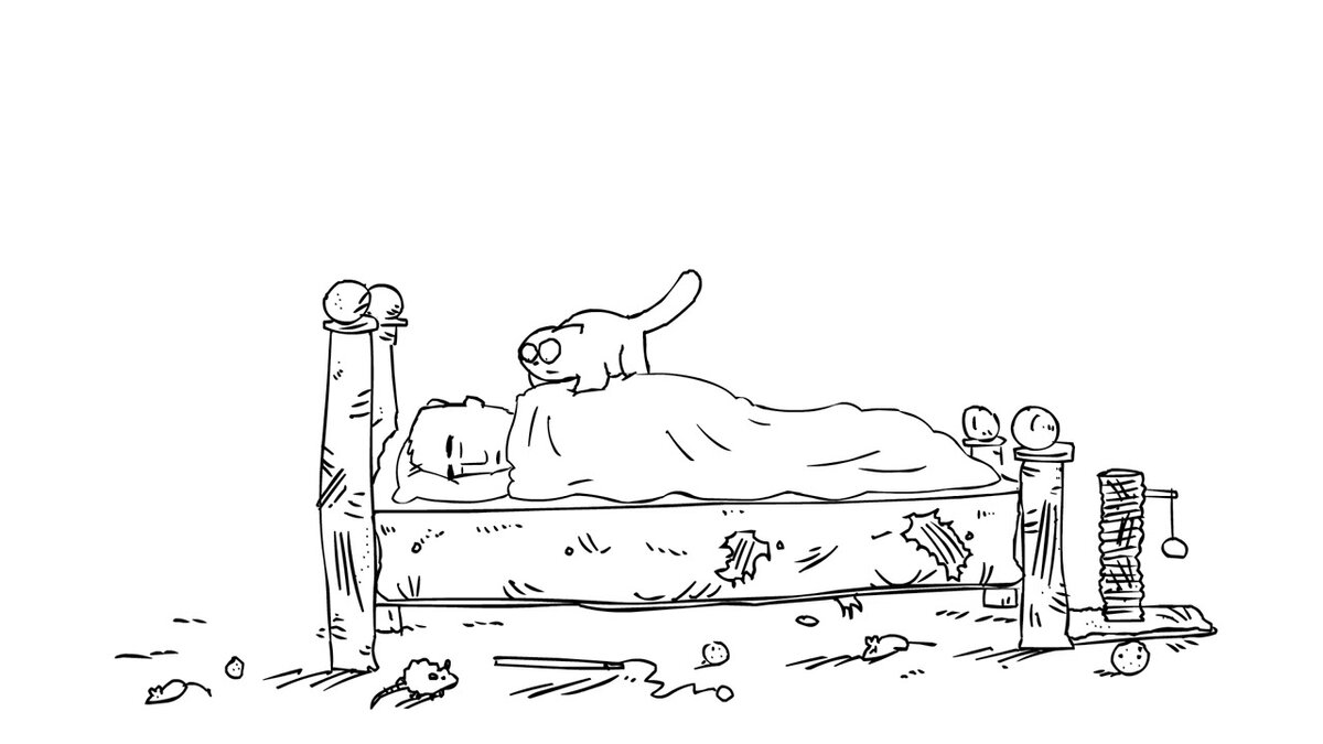 Кот здесь главный!