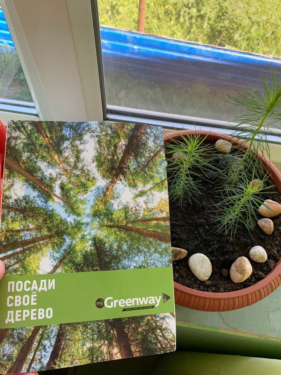 Вот такая брошюра дается с 3мя семенами в комплекте