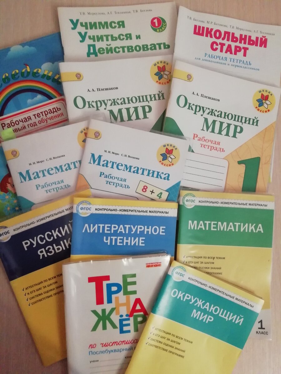 Нужны ли в начальной школе рабочие тетради на печатной основе? | Учитель в  школе и дома. ЕвгенияС | Дзен