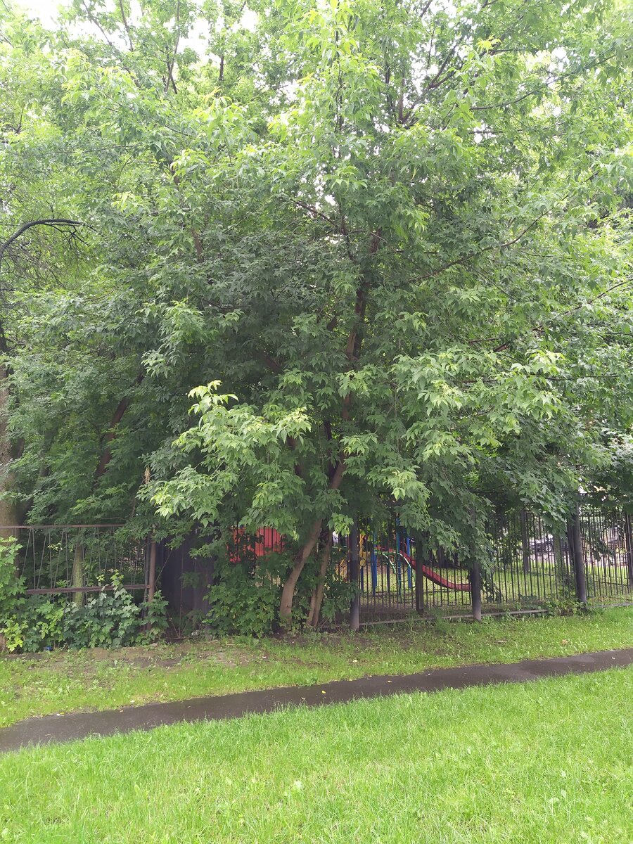 Рассвет. Фото автора. 