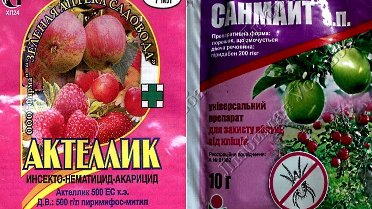химические препараты от клещей