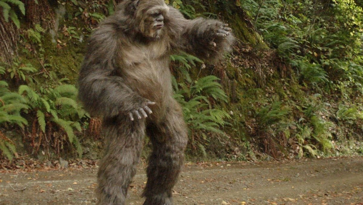 Фото взято из источников интернета 