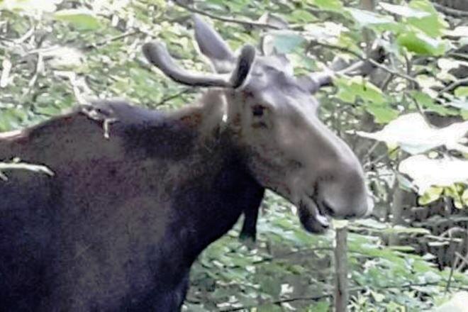 Фото из интернета.