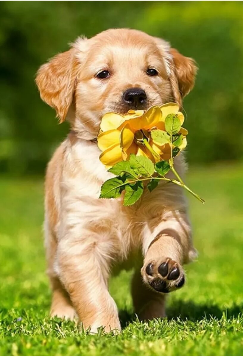 Закой глаза я тебе подалотек нефу💞