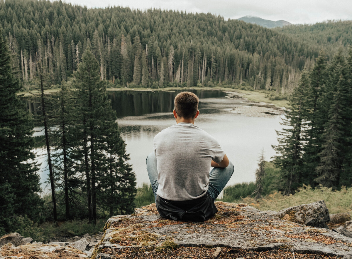 Изображение с сайта https://resize.yandex.net