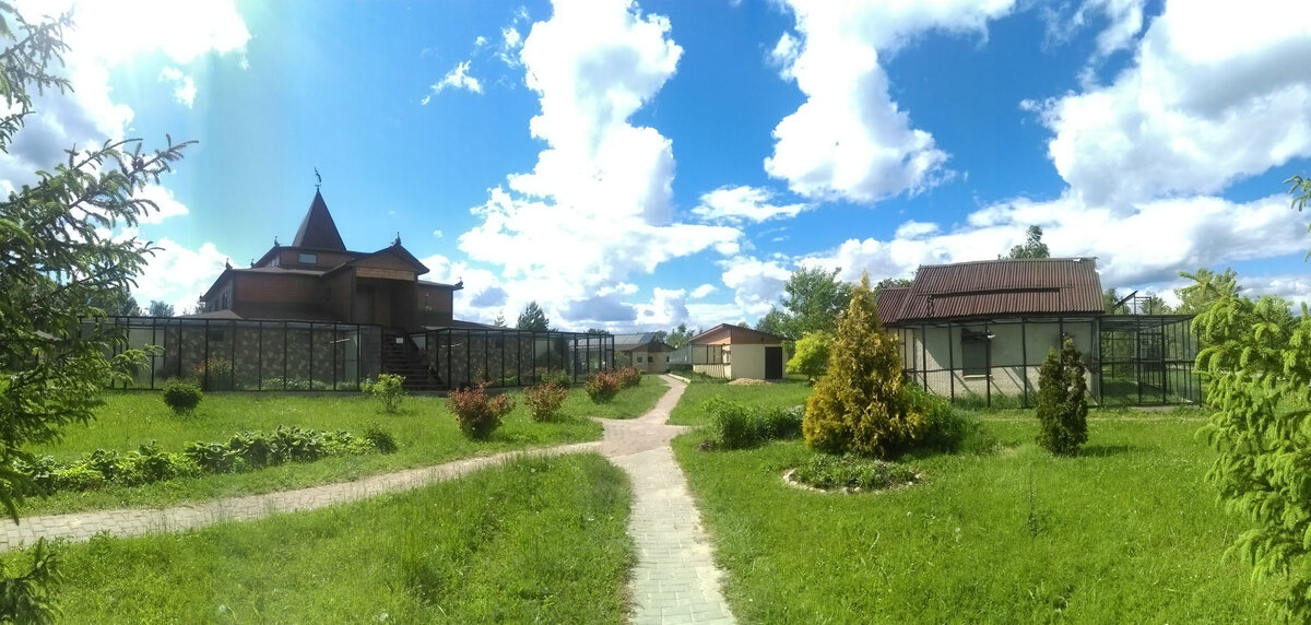 парк отель воробьи калужская область детский лагерь. сан воробьево, калуга. санаторий воробьи калужская область. воробьев калужская область.