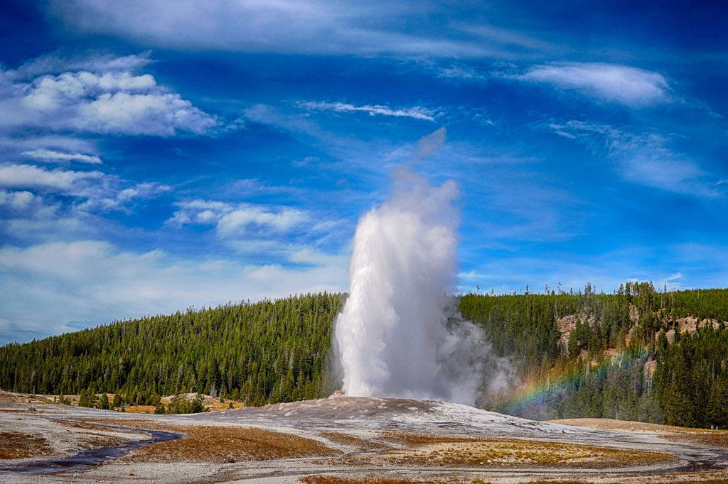 Яндекс картинки