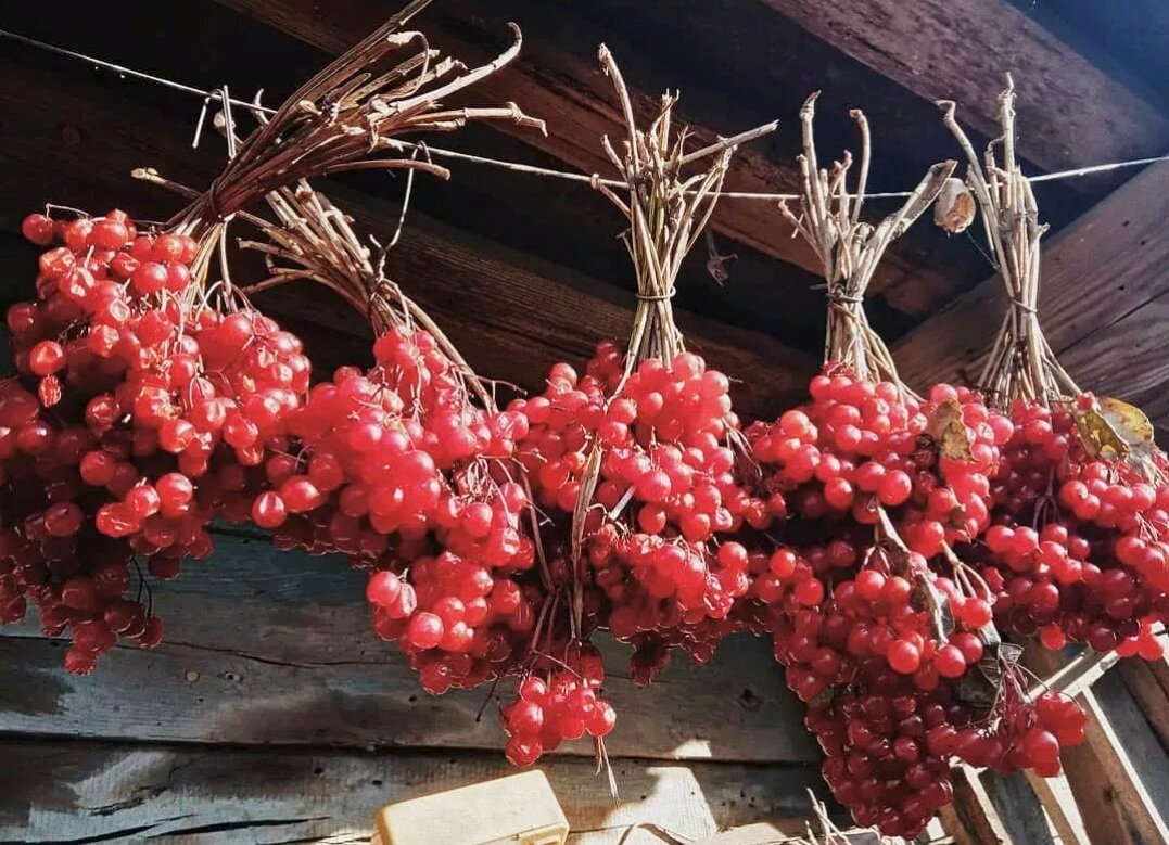 Калина. Мои любимые пирожки с калиной. Делюсь рецептом, так готовила еще  моя мама | ТРИ ПОКОЛЕНИЯ | Дзен