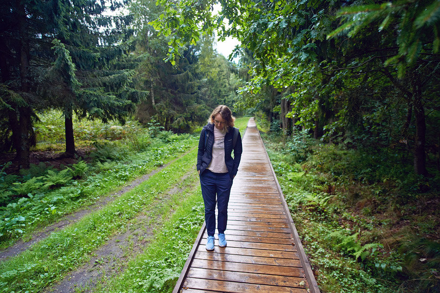 Королевский бор