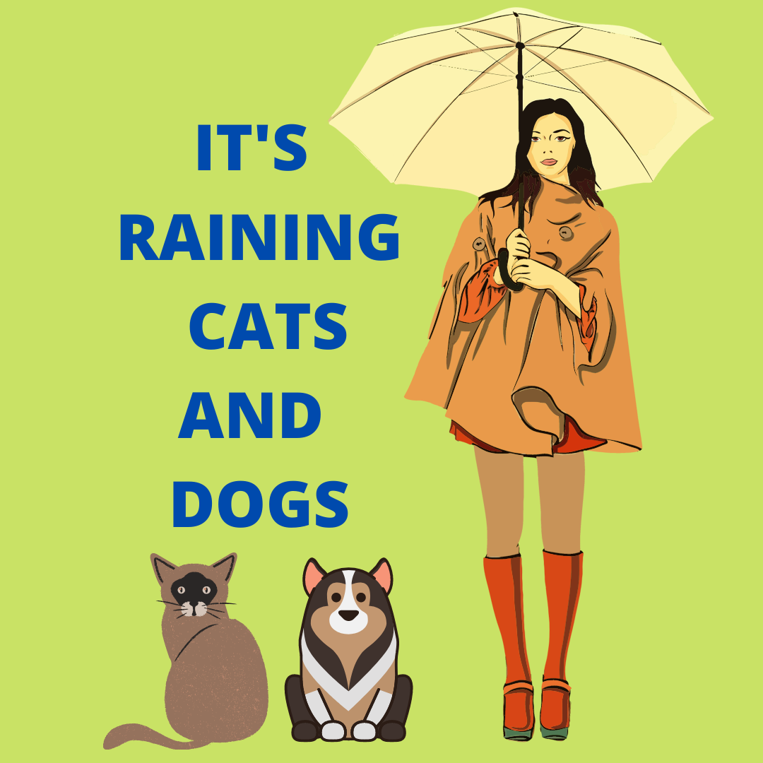 It's raining Cats and Dogs перевод. Rain Cats and Dogs идиома. Raining Cats and Dogs идиома. It is raining Cats and Dogs.