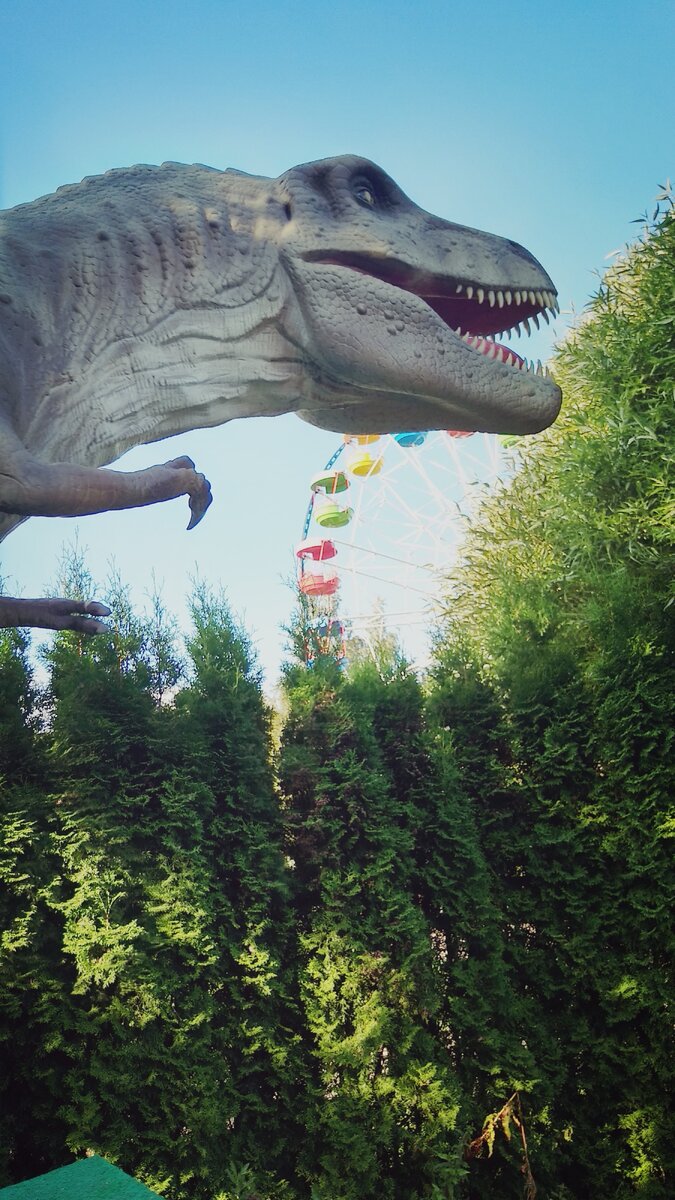 Фото для настроения. Последние теплые деньки.