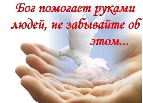 Яндекс картинки 