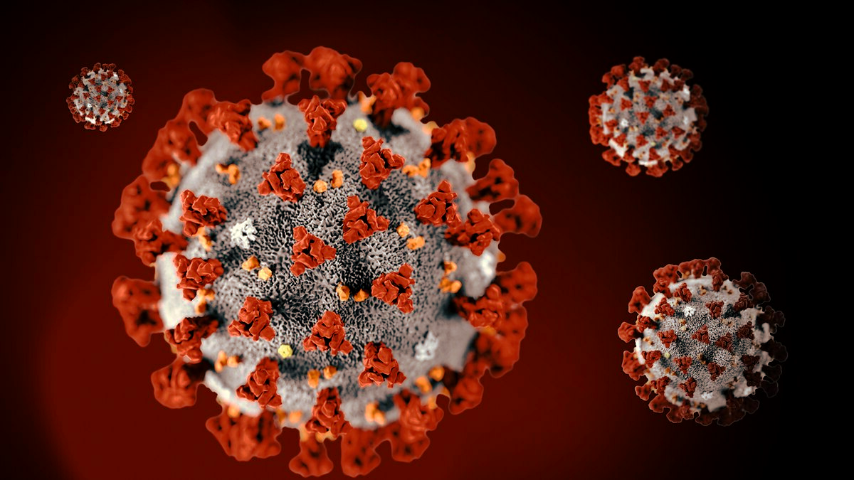 Фото из открытого источника