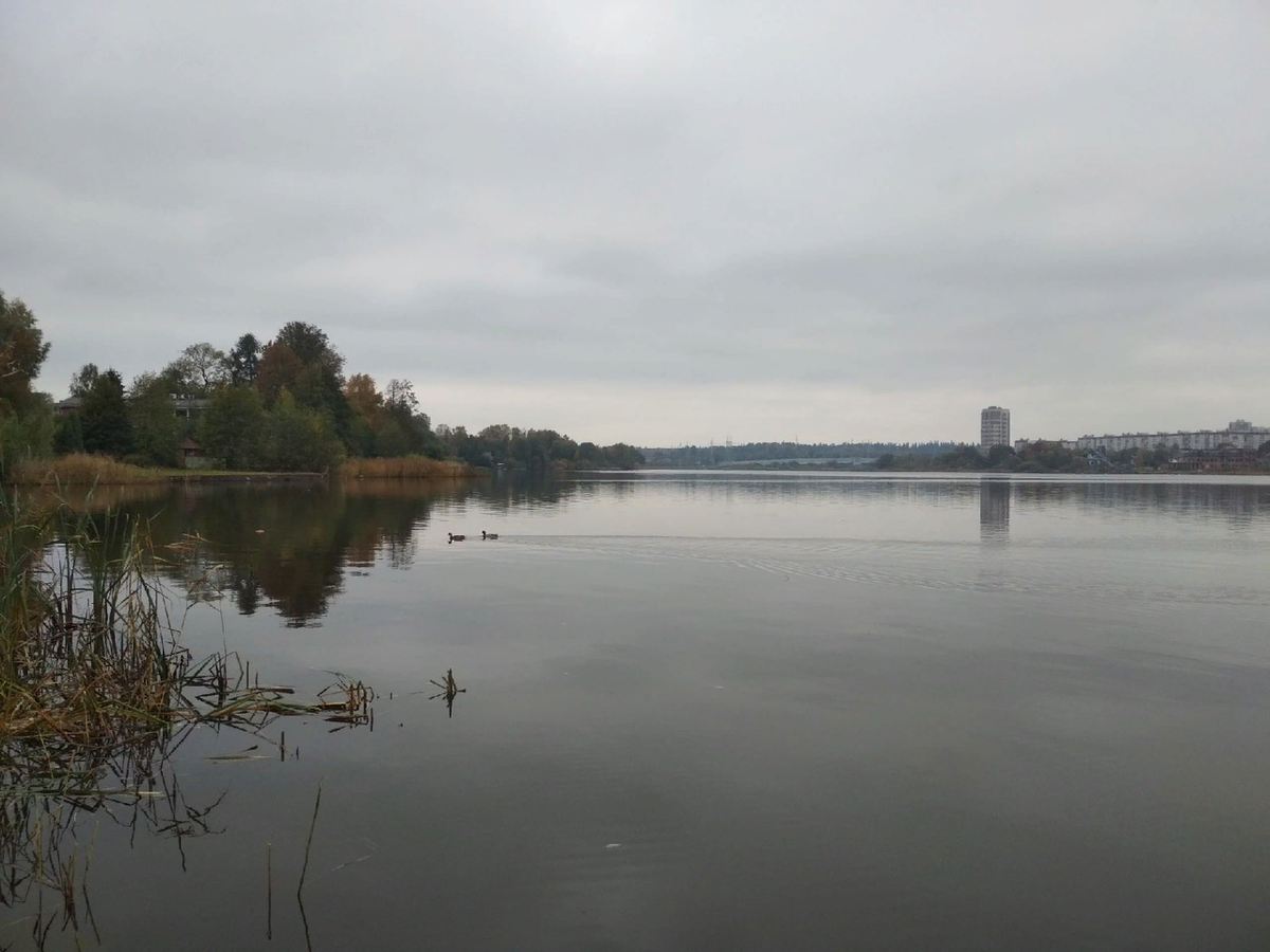 Тишина? Не тут то было... Клев отличный