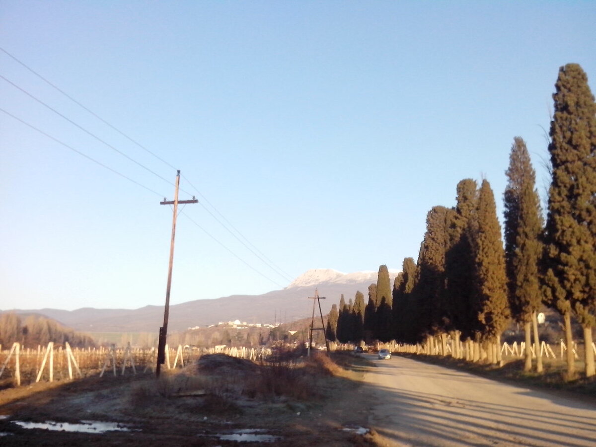 Виноградники у Красного Рая