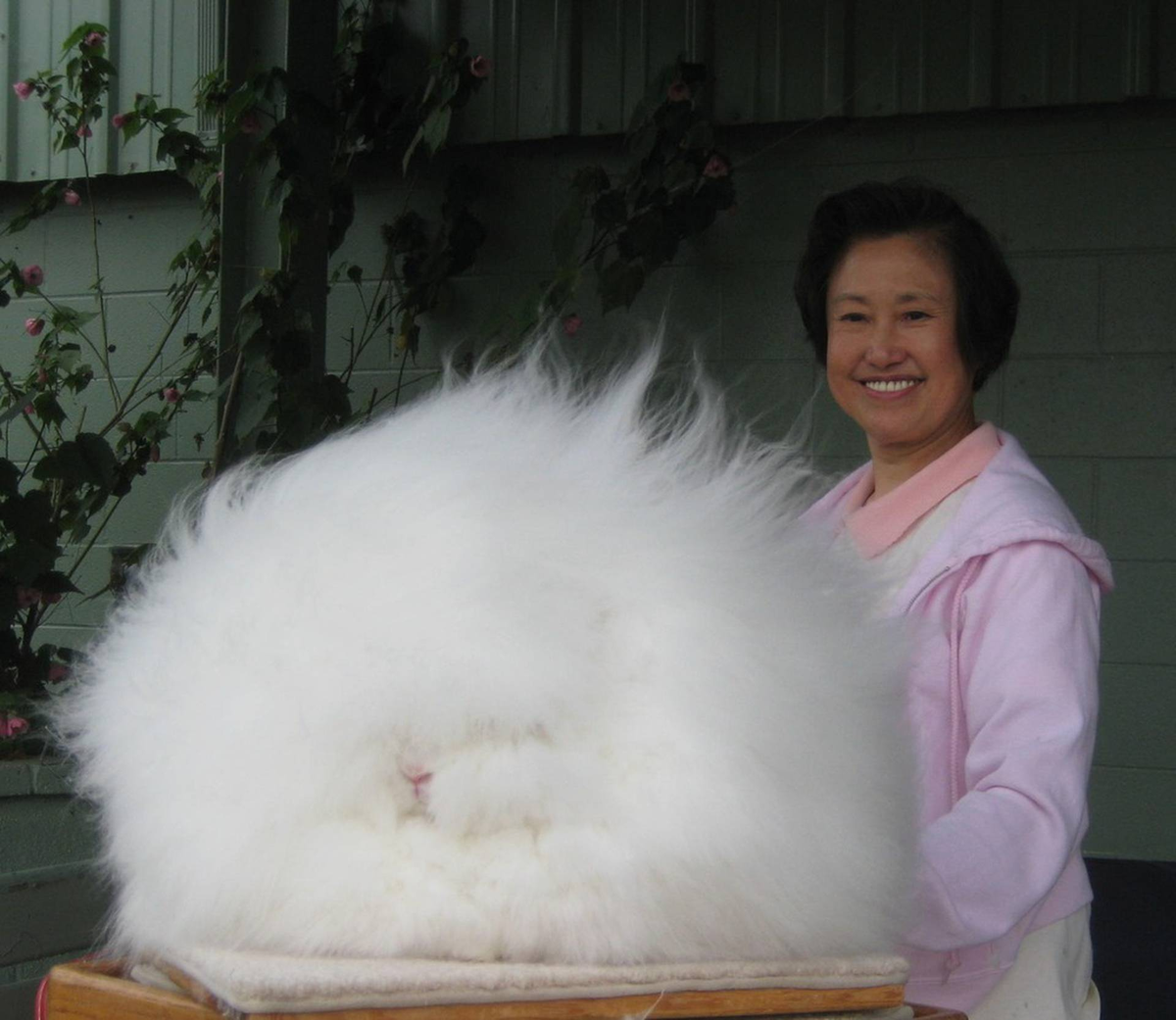 Сахарную вату брать будете?