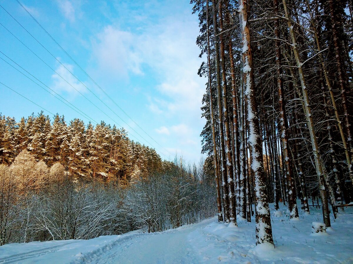 Похоже на март, не правда ли?