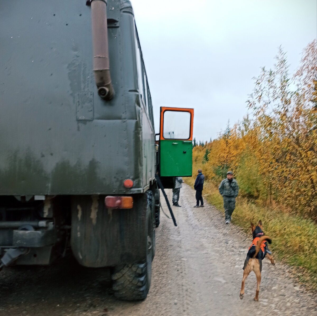 Тайга резвится на остановке (в машине сильно трясет)