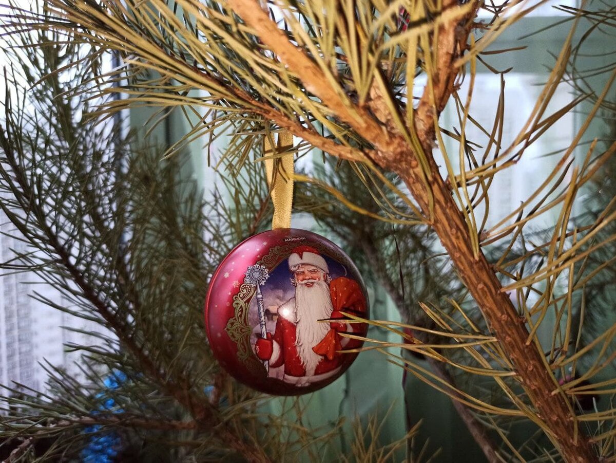 Москва. Новогодняя сосна