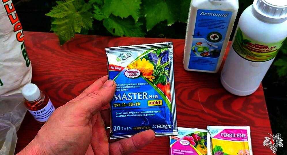 ОБРАБОТКА и ПОДКОРМКА Винограда перед его ЦВЕТЕНИЕМ