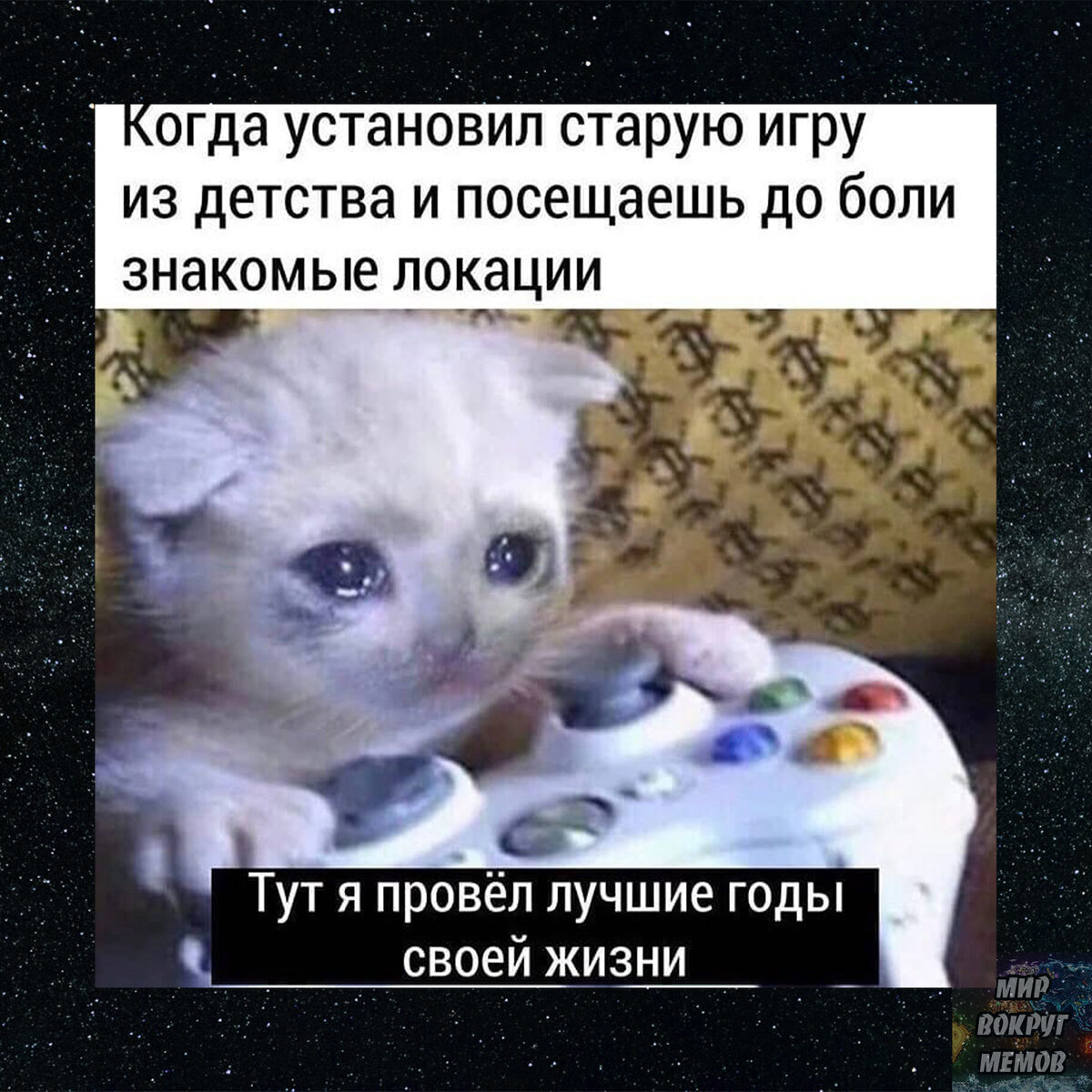 Смешные картинки с надписями до слез