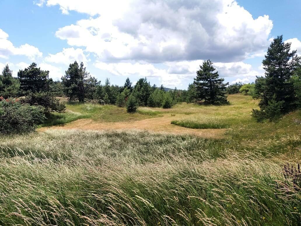 Ай-петринское плато