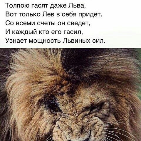 Простите за пафос, но лучшей иллюстрации к заключению подобрать не удалось.