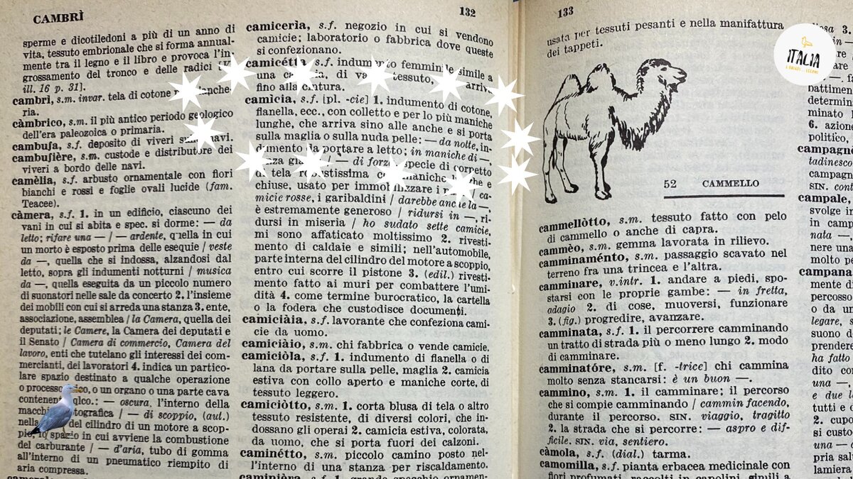 Рубашка (camiciа) в итальянском языке женского рода, во множественном числе меняется лишь последняя буква (camicie)