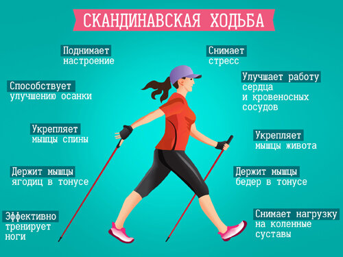 Фитнес для пожилых людей: скандинавская ходьба с палками - идеальная тренировка для здоровья и активности