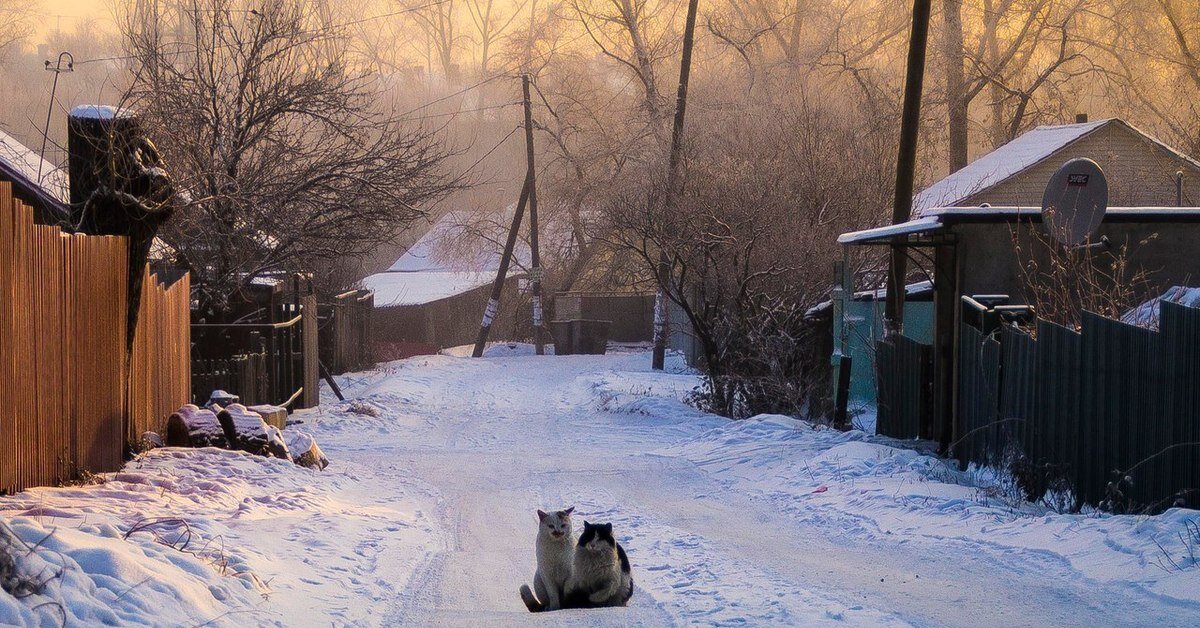 В гости к нам приезжайте. Покушать привозите!
